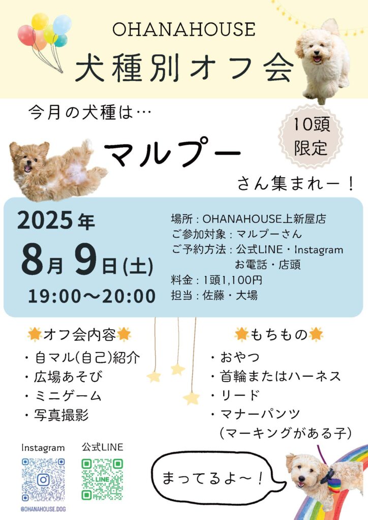 第5回 犬種別オフ会 マルプーちゃん