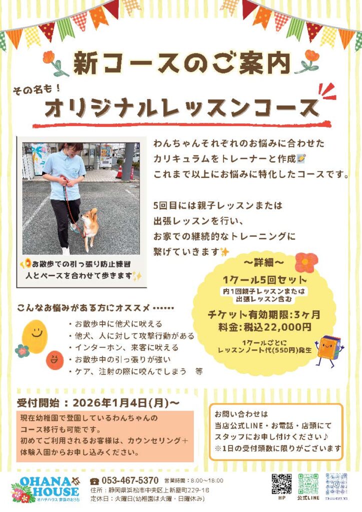 オリジナルレッスンコースチラシ