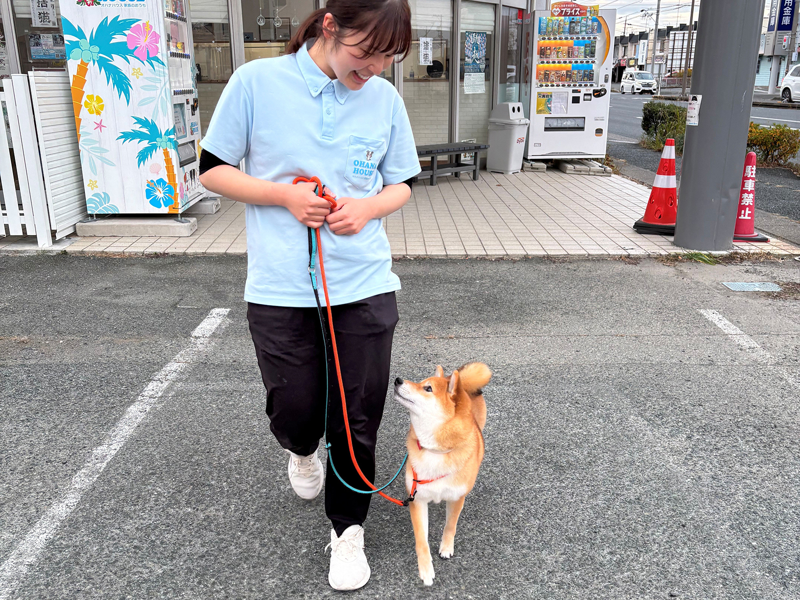 オリジナルレッスンコース