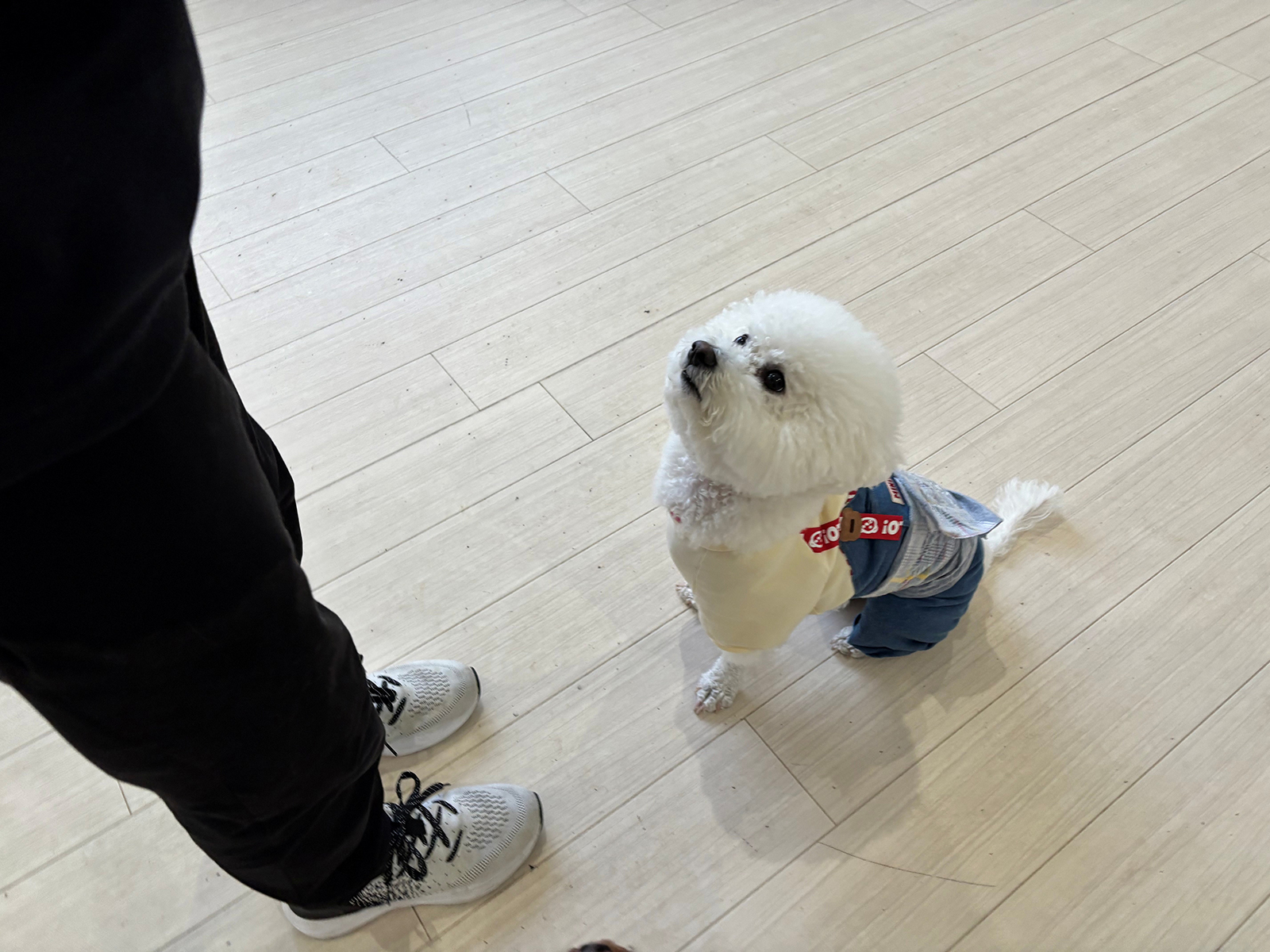 通園レッスンコース