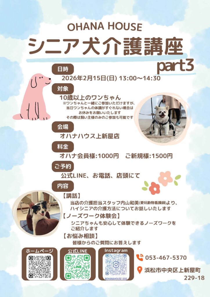 【第3回】シニア犬介護講座