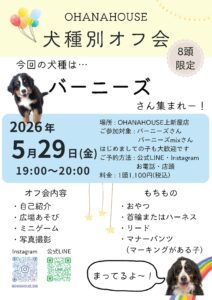 犬種別オフ会_バーニーズ