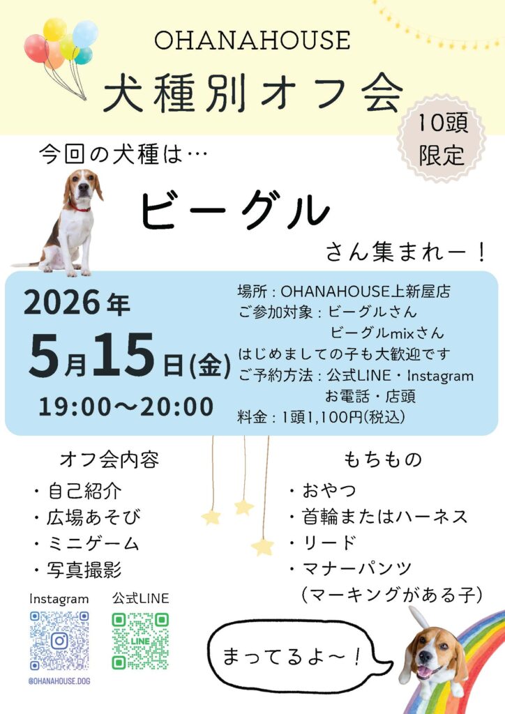 犬種別オフ会_ビーグル