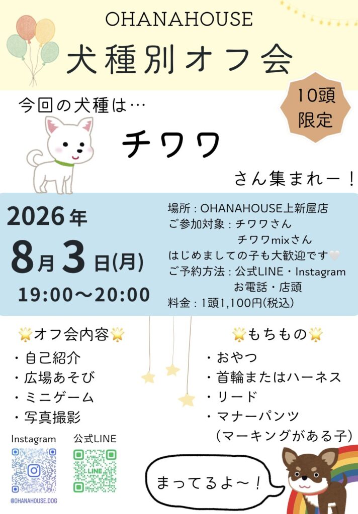 オフ会チラシ チワワ