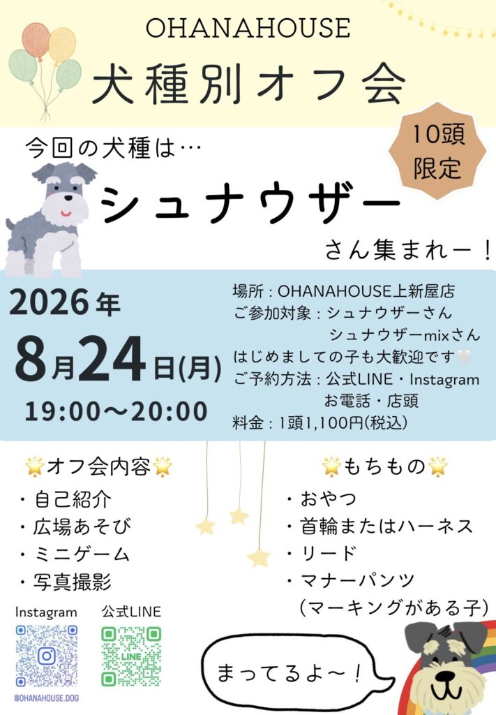オフ会チラシ シュナウザー