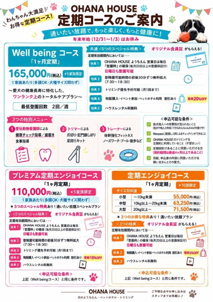 幼稚園定期コース案内